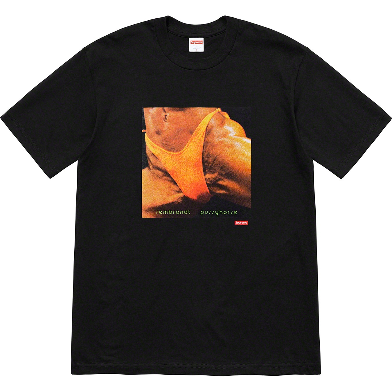Supreme/Butthole SurfersRembrandt Pussyhorse Tee view 6
